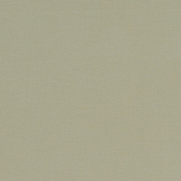Alora - Khaki  By Clarke And Clarke | Alora By Studio G For C&C | Solid Multipurpose