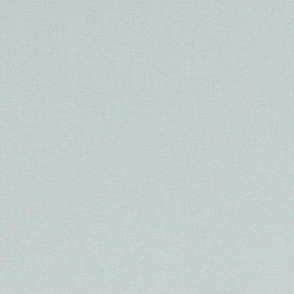 Alora - Mineral  By Clarke And Clarke | Alora By Studio G For C&C | Solid Multipurpose