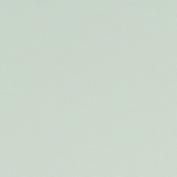 Alora - Mint  By Clarke And Clarke | Alora By Studio G For C&C | Solid Multipurpose