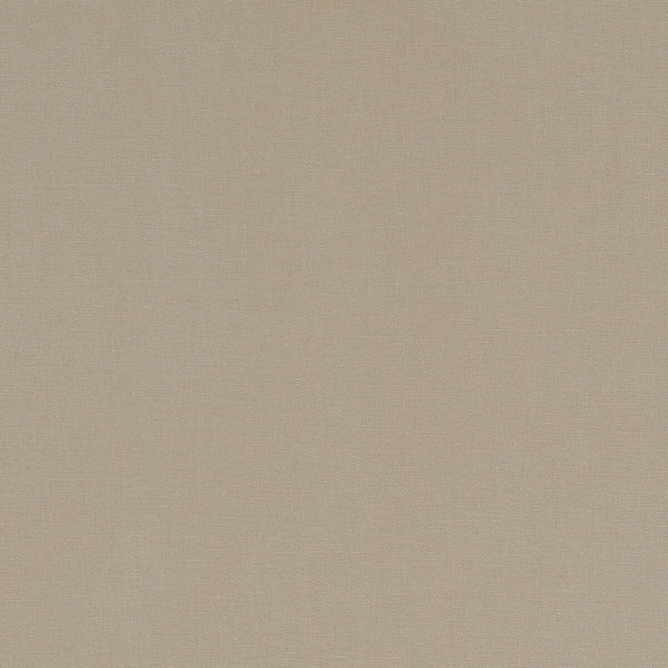 Alora - Sand  By Clarke And Clarke | Alora By Studio G For C&C | Solid Multipurpose