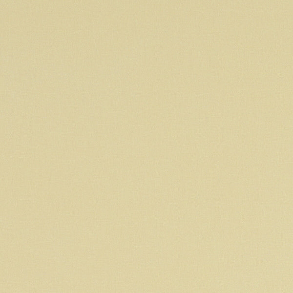 Alora - Straw  By Clarke And Clarke | Alora By Studio G For C&C | Solid Multipurpose