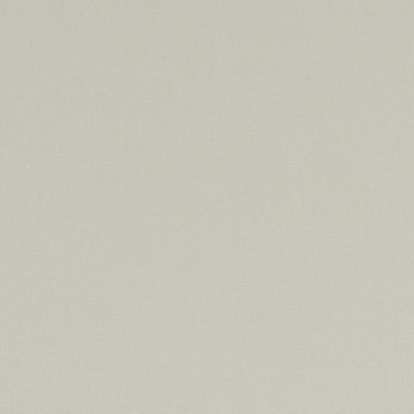 Alora - String  By Clarke And Clarke | Alora By Studio G For C&C | Solid Multipurpose