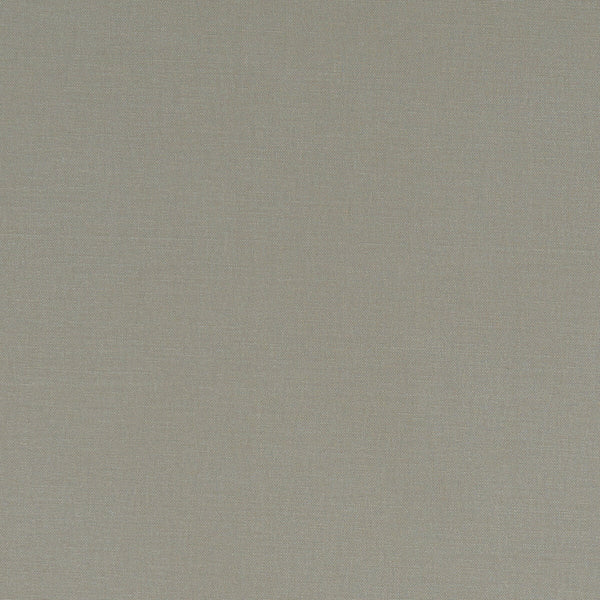 Alora - Taupe  By Clarke And Clarke | Alora By Studio G For C&C | Solid Multipurpose