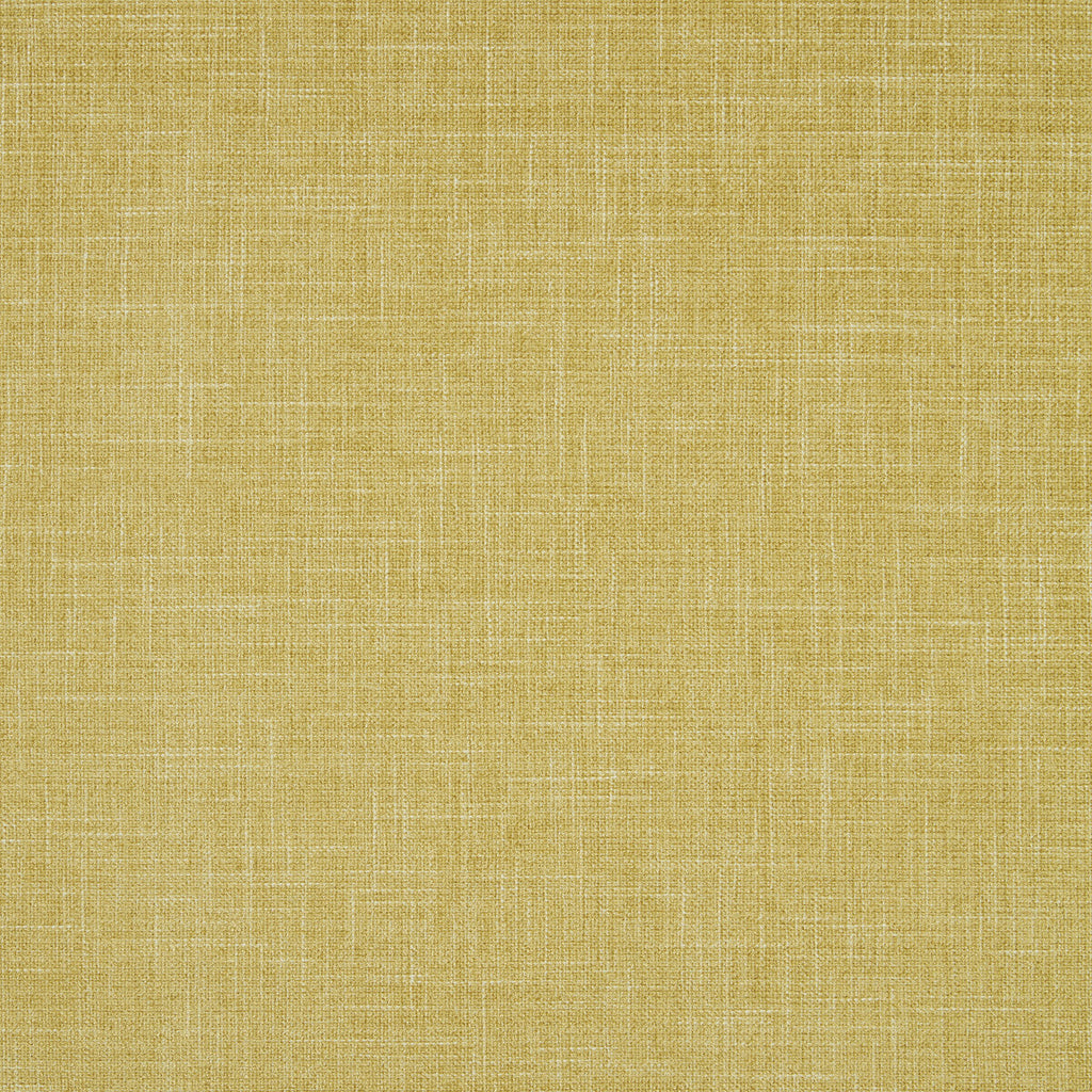 Samples and Purchasing available for Albany - Chartreuse  By Clarke And Clarke | Clarke & Clarke Albany & Moray |Solid Texture Multipurpose Chenille at Designer Wallcoverings and Fabrics