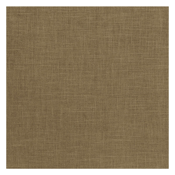 Albany - Moss  By Clarke And Clarke | Clarke & Clarke Albany & Moray |Solid Texture Multipurpose Chenille