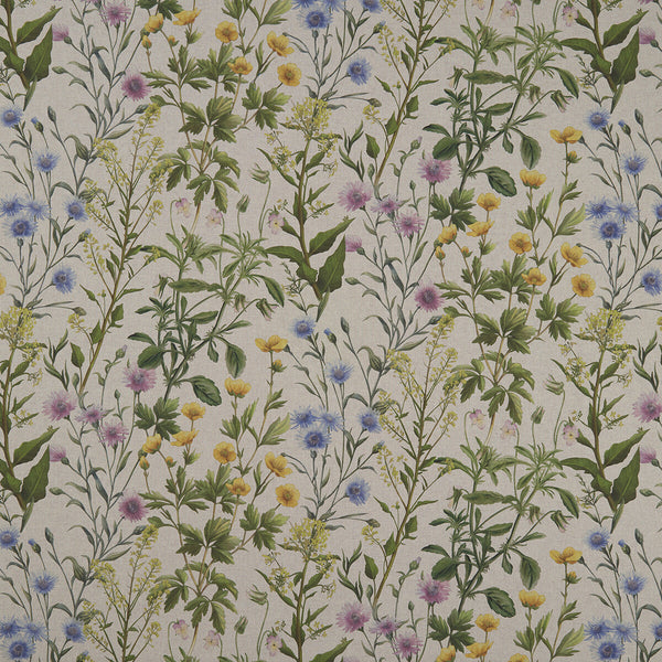 Buttercup - Linen  By Clarke And Clarke | Clarke & Clarke Country Garden | Botanical & Floral Multipurpose Print