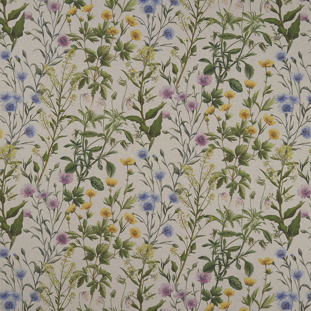Samples and Purchasing available for Buttercup - Linen  By Clarke And Clarke | Clarke & Clarke Country Garden | Botanical & Floral Multipurpose Print at Designer Wallcoverings and Fabrics