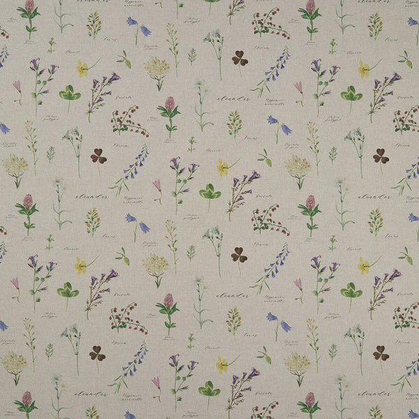 Nerium - Linen  By Clarke And Clarke | Clarke & Clarke Country Garden | Botanical & Floral Multipurpose Print