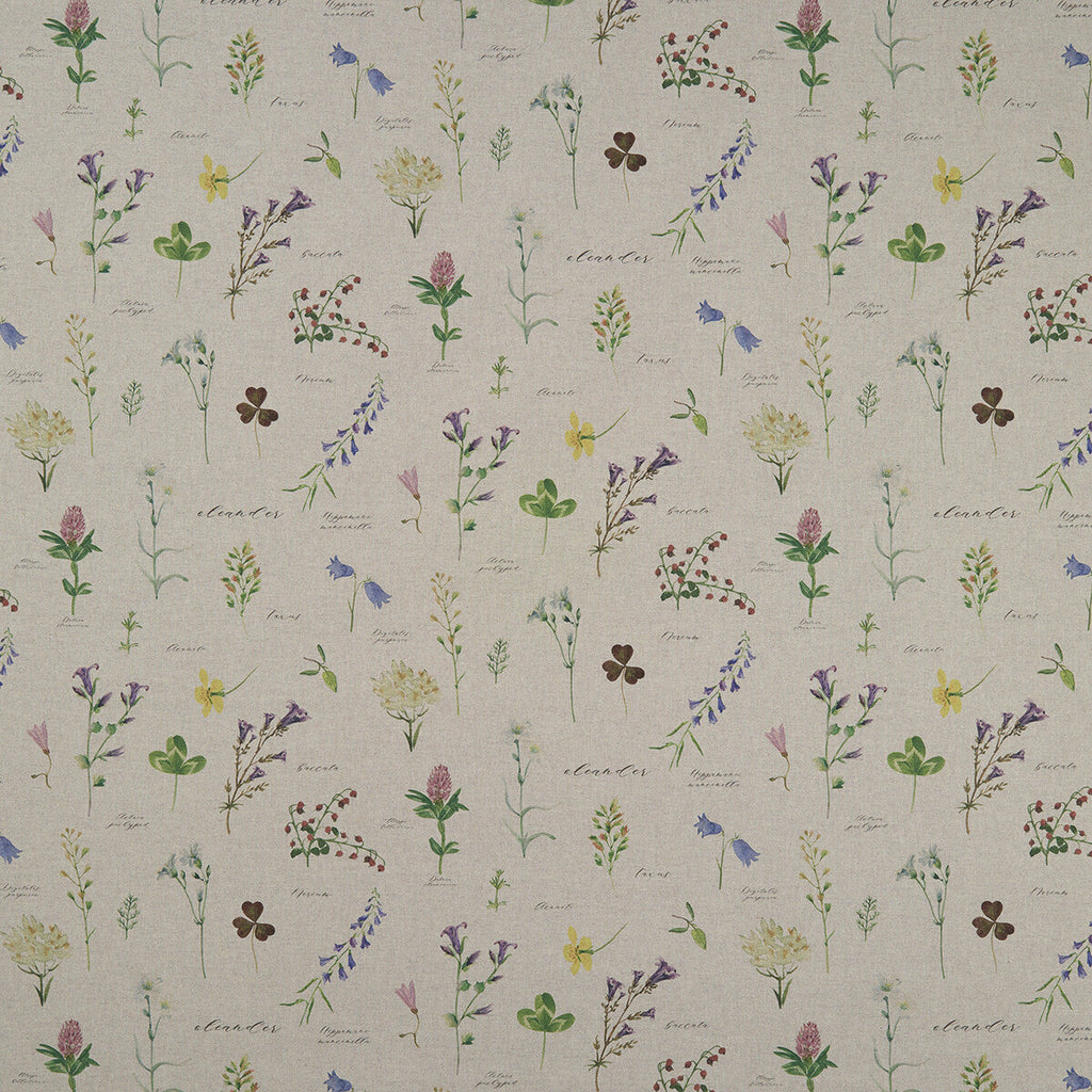 Samples and Purchasing available for Nerium - Linen  By Clarke And Clarke | Clarke & Clarke Country Garden | Botanical & Floral Multipurpose Print at Designer Wallcoverings and Fabrics