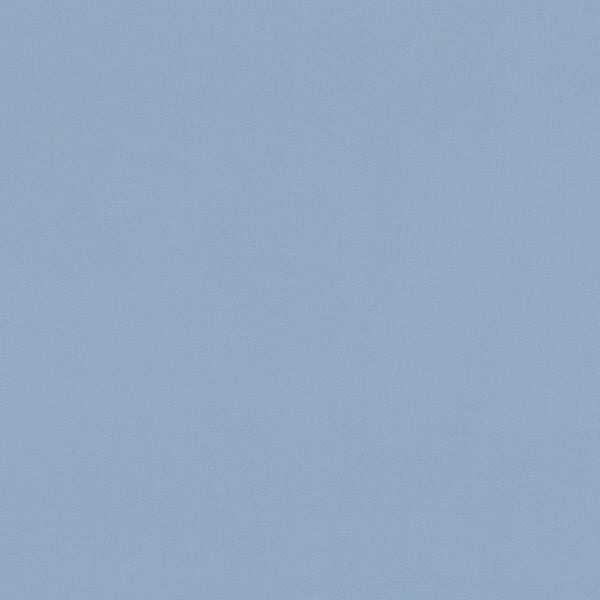 Renzo - Chambray  By Clarke And Clarke | Renzo By Studio G For C&C |Solid Texture Multipurpose Velvet
