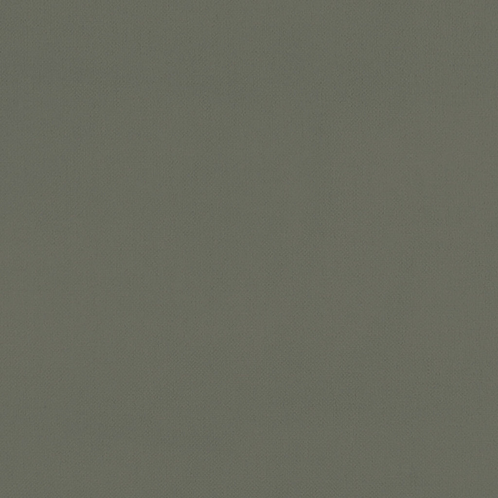 Samples and Purchasing available for Renzo - Charcoal  By Clarke And Clarke | Renzo By Studio G For C&C |Solid Texture Multipurpose Velvet at Designer Wallcoverings and Fabrics