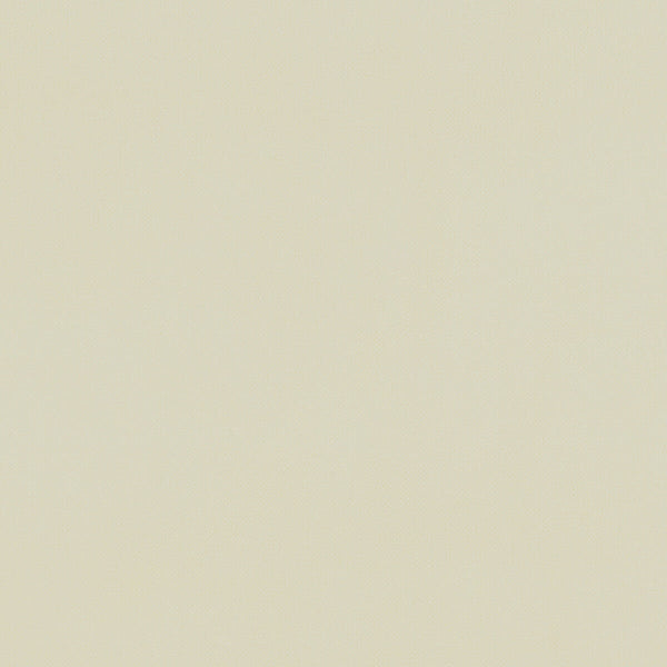 Renzo - Cream  By Clarke And Clarke | Renzo By Studio G For C&C |Solid Texture Multipurpose Velvet
