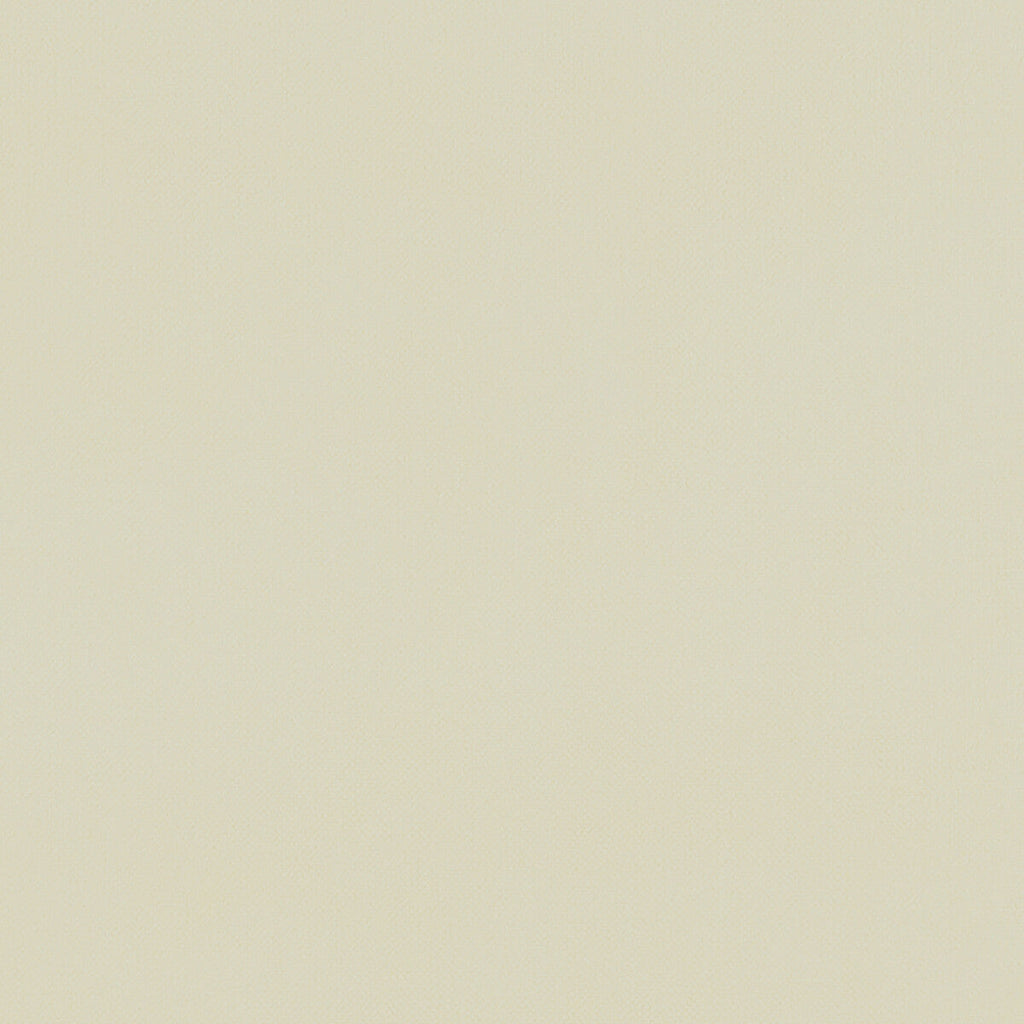 Samples and Purchasing available for Renzo - Cream  By Clarke And Clarke | Renzo By Studio G For C&C |Solid Texture Multipurpose Velvet at Designer Wallcoverings and Fabrics