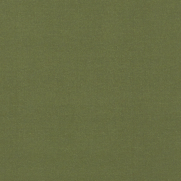 Renzo - Forest  By Clarke And Clarke | Renzo By Studio G For C&C |Solid Texture Multipurpose Velvet
