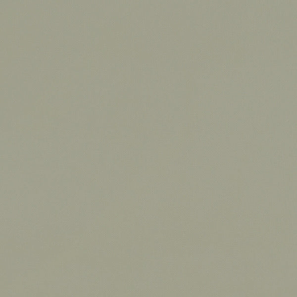 Renzo - Sage  By Clarke And Clarke | Renzo By Studio G For C&C |Solid Texture Multipurpose Velvet
