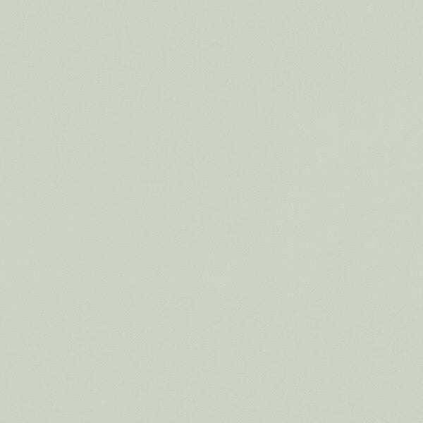 Renzo - Silver  By Clarke And Clarke | Renzo By Studio G For C&C |Solid Texture Multipurpose Velvet