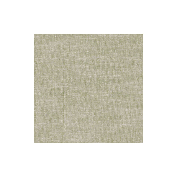Amalfi - Birch  By Clarke And Clarke | Clarke & Clarke Amalfi |Solid Texture Multipurpose