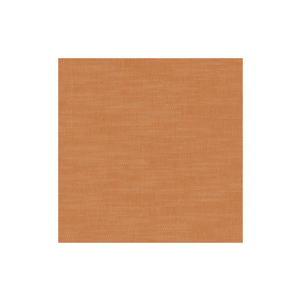 Amalfi - Pumpkin  By Clarke And Clarke | Clarke & Clarke Amalfi |Solid Texture Multipurpose
