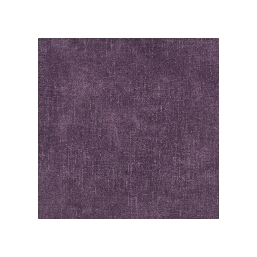 Samples and Purchasing available for Martello - Grape  By Clarke And Clarke | Clarke & Clarke Martello |  Multipurpose Velvet at Designer Wallcoverings and Fabrics