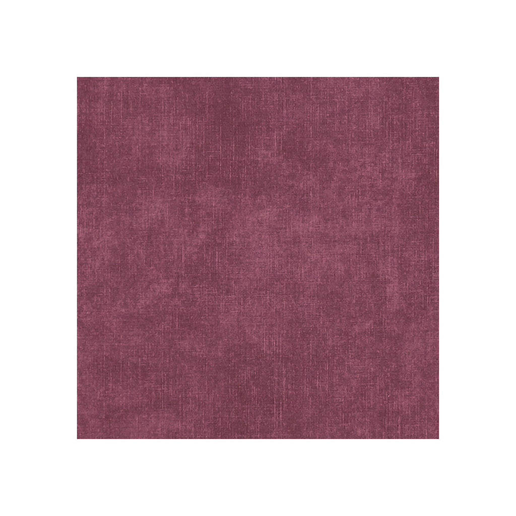 Samples and Purchasing available for Martello - Raspberry  By Clarke And Clarke | Clarke & Clarke Martello |  Multipurpose Velvet at Designer Wallcoverings and Fabrics