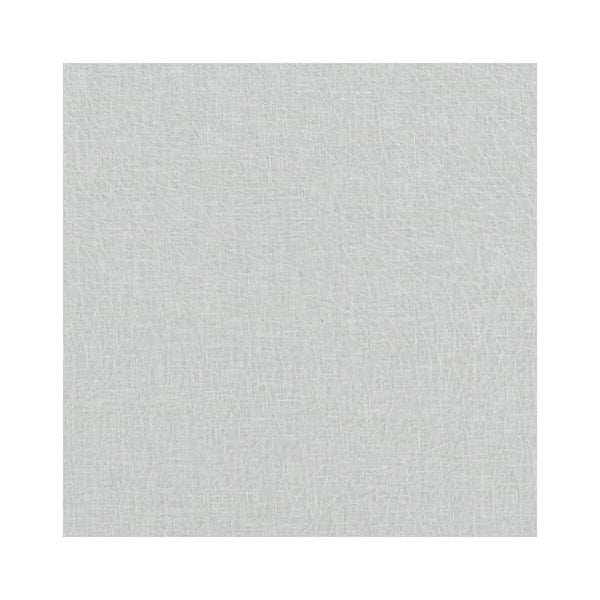 Corallino Sheer - Silver  By Clarke And Clarke | Clarke & Clarke Lusso Sheers |  Drapery Weave