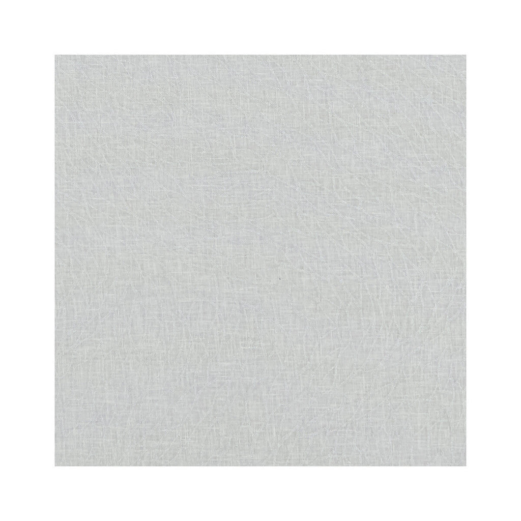 Samples and Purchasing available for Corallino Sheer - Silver  By Clarke And Clarke | Clarke & Clarke Lusso Sheers |  Drapery Weave at Designer Wallcoverings and Fabrics