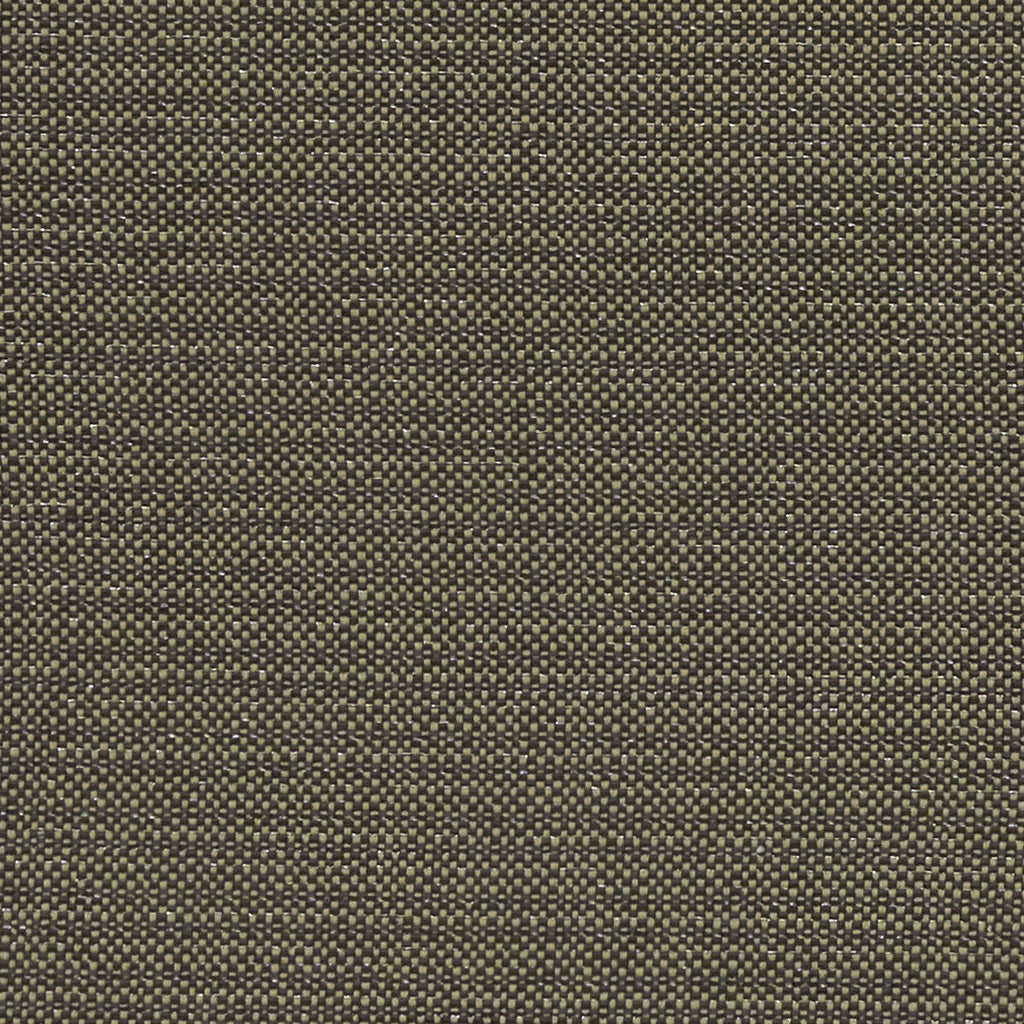 Samples and Purchasing available for Kauai - Charcoal  By Clarke And Clarke | Clarke & Clarke Exotica |  Multipurpose Weave at Designer Wallcoverings and Fabrics