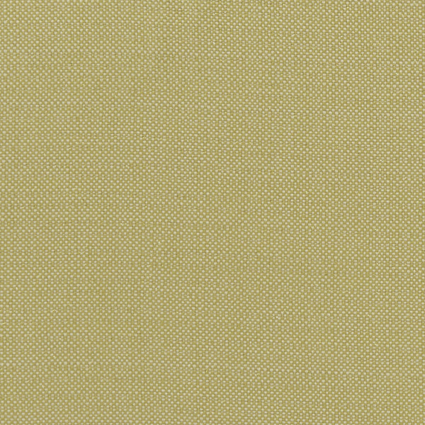 Kauai - Citron  By Clarke And Clarke | Clarke & Clarke Exotica |  Multipurpose Weave