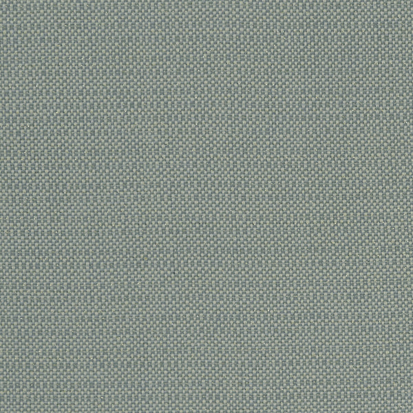 Kauai - Mineral  By Clarke And Clarke | Clarke & Clarke Exotica |  Multipurpose Weave