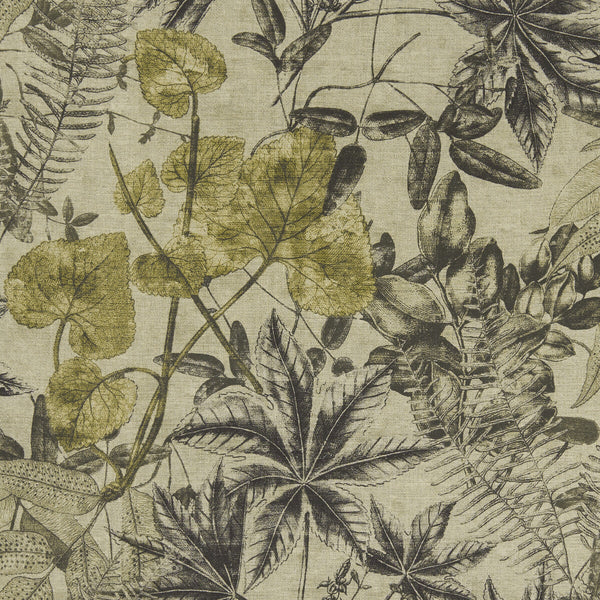 Madagascar - Charcoal/Charteuse  By Clarke And Clarke | Clarke & Clarke Exotica | Botanical & Floral Multipurpose Print