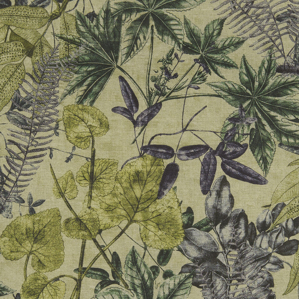 Madagascar - Forest  By Clarke And Clarke | Clarke & Clarke Exotica | Botanical & Floral Multipurpose Print