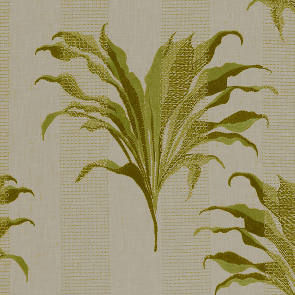 Palma - Citron  By Clarke And Clarke | Clarke & Clarke Exotica | Botanical & Floral Drapery Embroidery