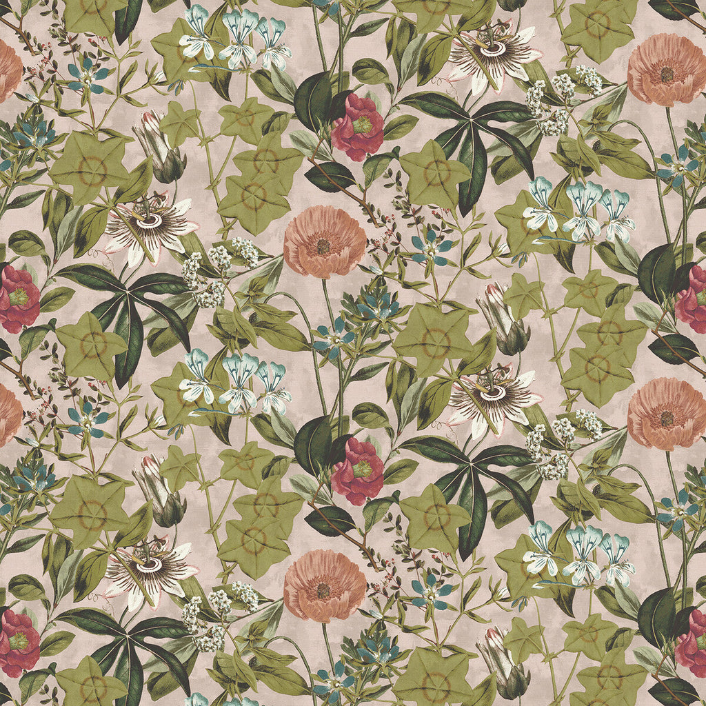 Samples and Purchasing available for Passiflora - Blush Velvet Pink By Clarke And Clarke | Clarke & Clarke Exotica 2 | Botanical & Floral Multipurpose Velvet at Designer Wallcoverings and Fabrics