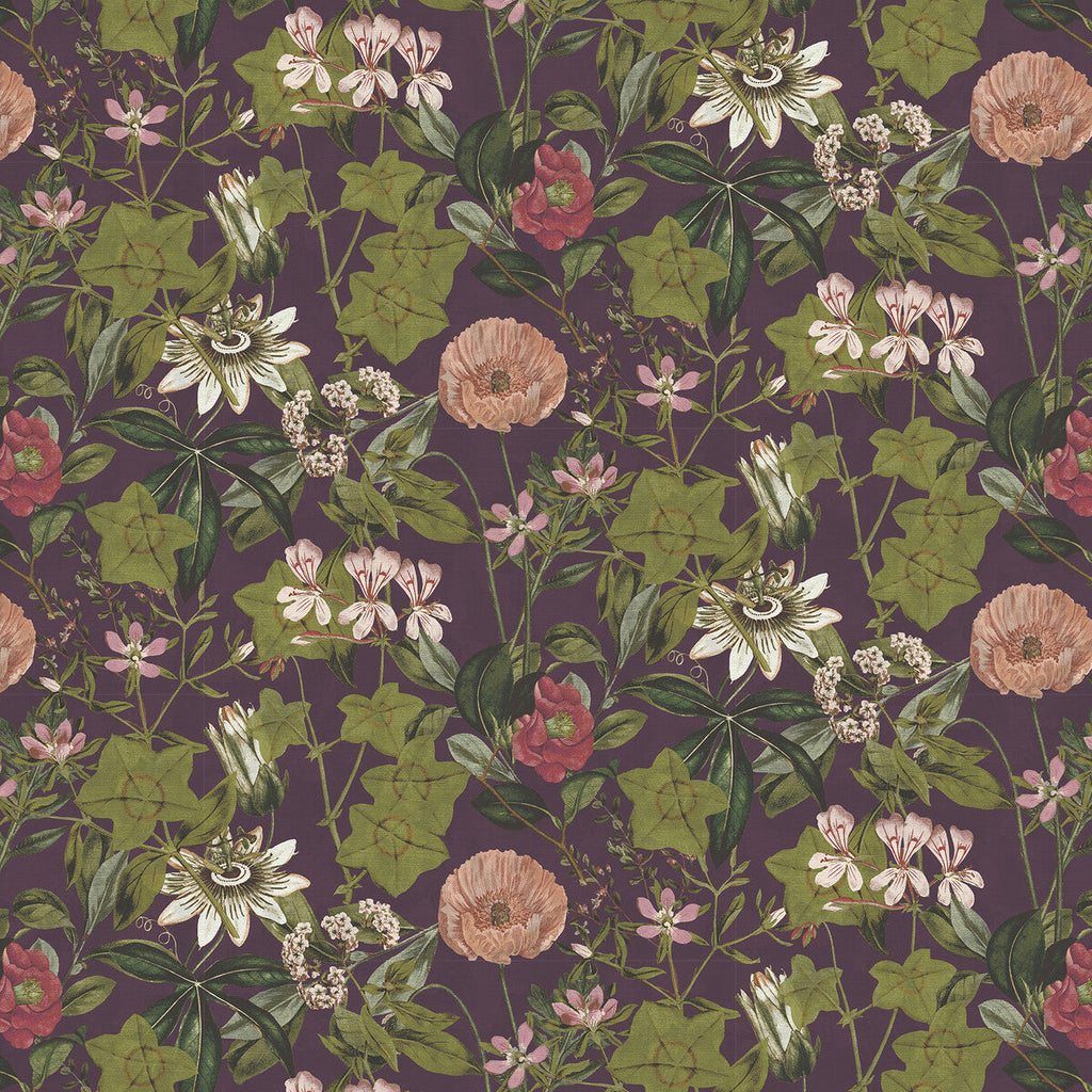 Samples and Purchasing available for Passiflora - Mulberry Velvet Purple By Clarke And Clarke | Clarke & Clarke Exotica 2 | Botanical & Floral Multipurpose Velvet at Designer Wallcoverings and Fabrics