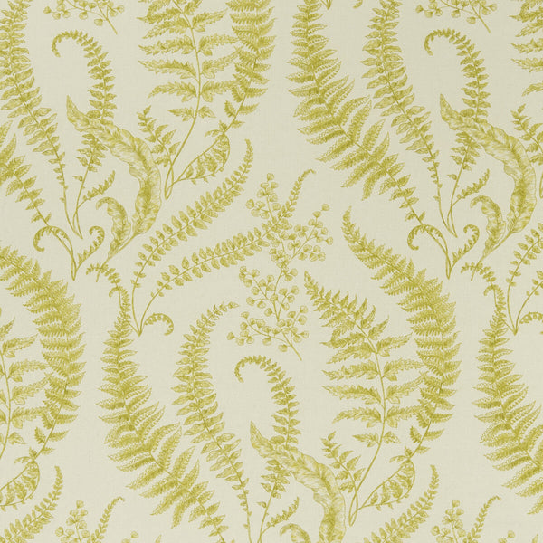 Folium - Chartreuse  By Clarke And Clarke | Clarke & Clarke Eden | Botanical & Floral Multipurpose Print