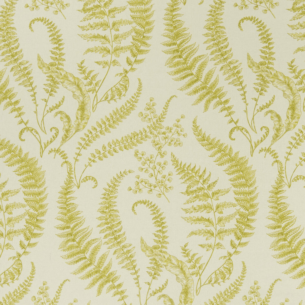 Samples and Purchasing available for Folium - Chartreuse  By Clarke And Clarke | Clarke & Clarke Eden | Botanical & Floral Multipurpose Print at Designer Wallcoverings and Fabrics