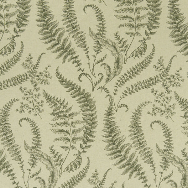 Folium - Forest  By Clarke And Clarke | Clarke & Clarke Eden | Botanical & Floral Multipurpose Print
