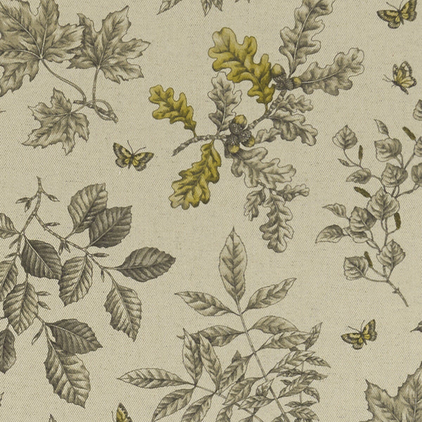 Hortus - Charcoal/Ochre  By Clarke And Clarke | Clarke & Clarke Eden | Botanical & Floral Multipurpose Print