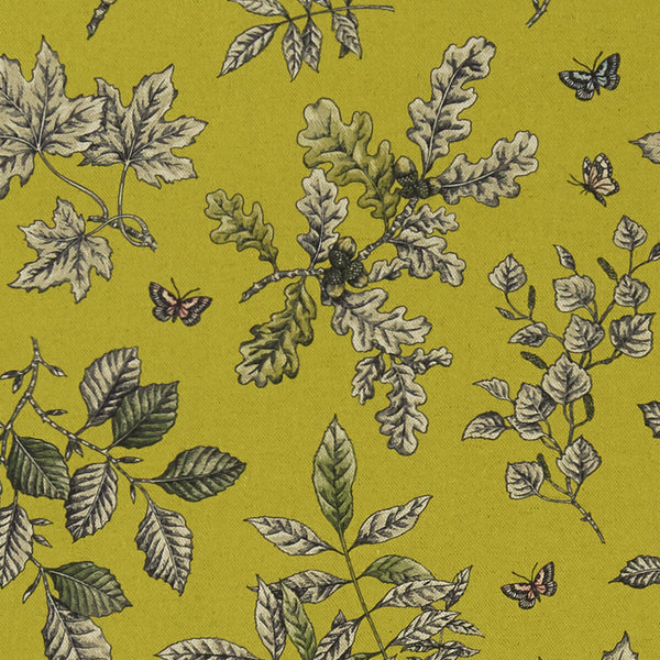 Hortus - Chartreuse  By Clarke And Clarke | Clarke & Clarke Eden | Botanical & Floral Multipurpose Print