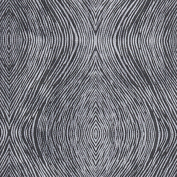 Luster - Charcoal  By Clarke And Clarke | Clarke & Clarke Diffusion | Modern Multipurpose