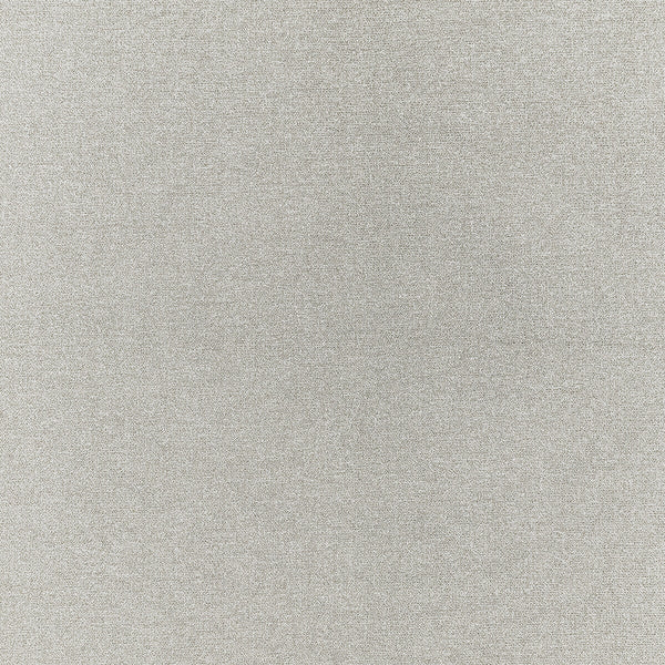 Acies - Silver Grey By Clarke And Clarke | Clarke & Clarke Purus |Solid Texture Upholstery