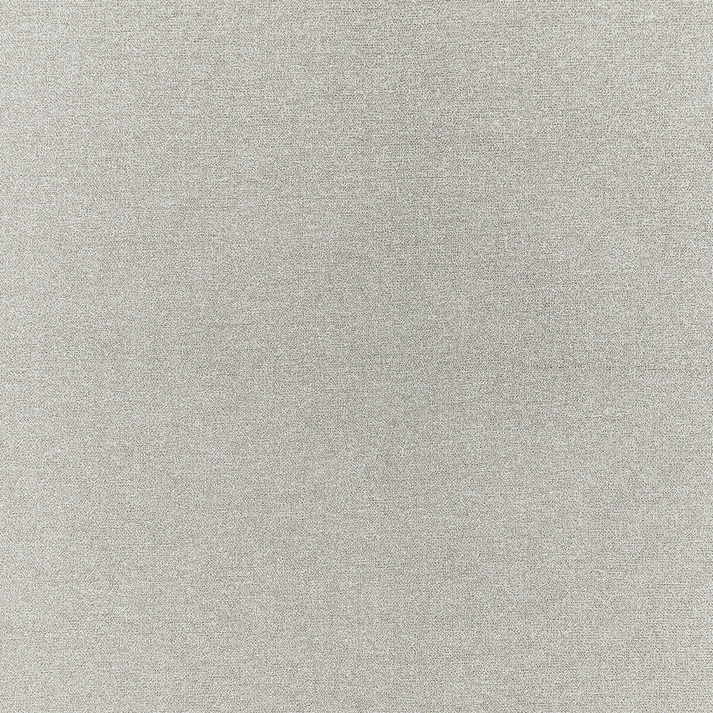 Samples and Purchasing available for Acies - Silver Grey By Clarke And Clarke | Clarke & Clarke Purus |Solid Texture Upholstery  at Designer Wallcoverings and Fabrics
