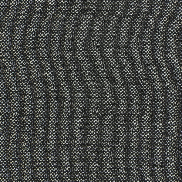 Filum - Ebony Black By Clarke And Clarke | Clarke & Clarke Purus |Solid Texture Upholstery