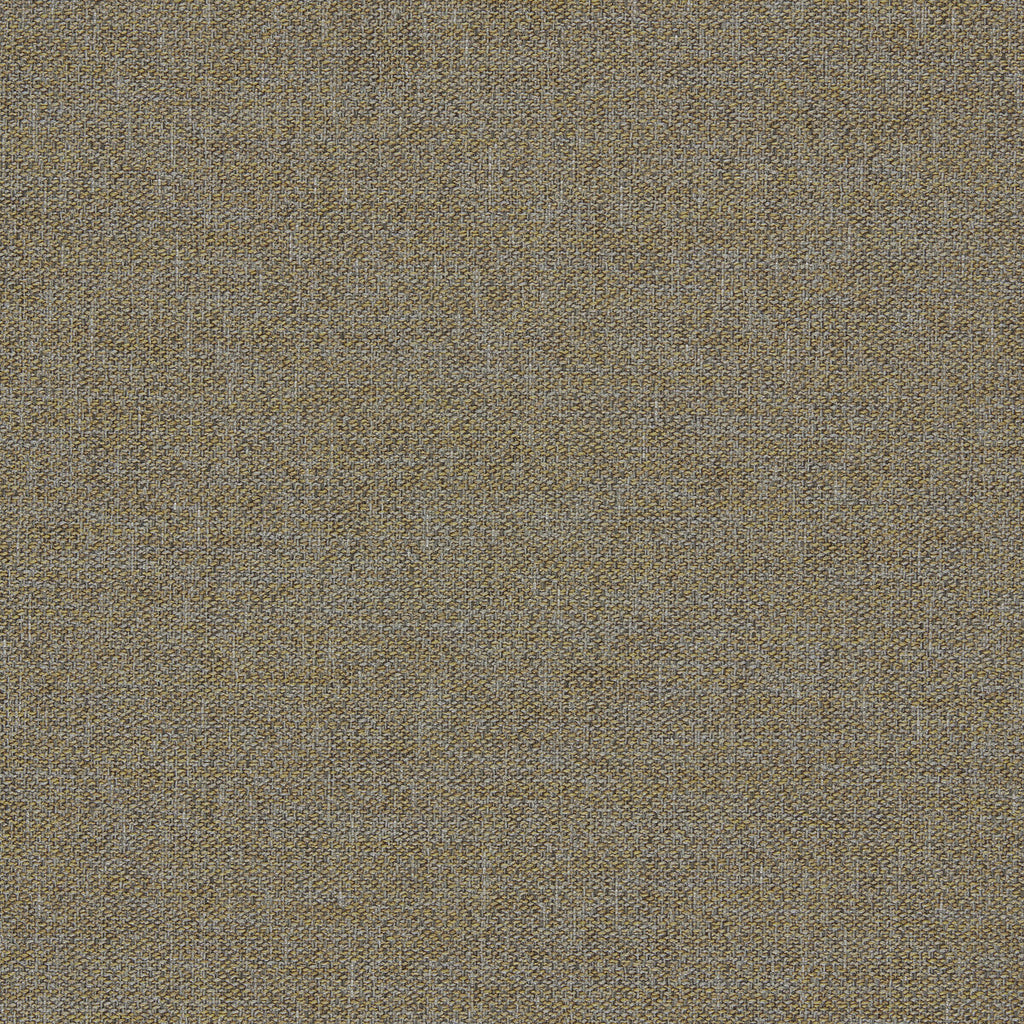 Samples and Purchasing available for Llanara - Antique Grey By Clarke And Clarke | Clarke & Clarke Purus |Solid Texture Upholstery  at Designer Wallcoverings and Fabrics
