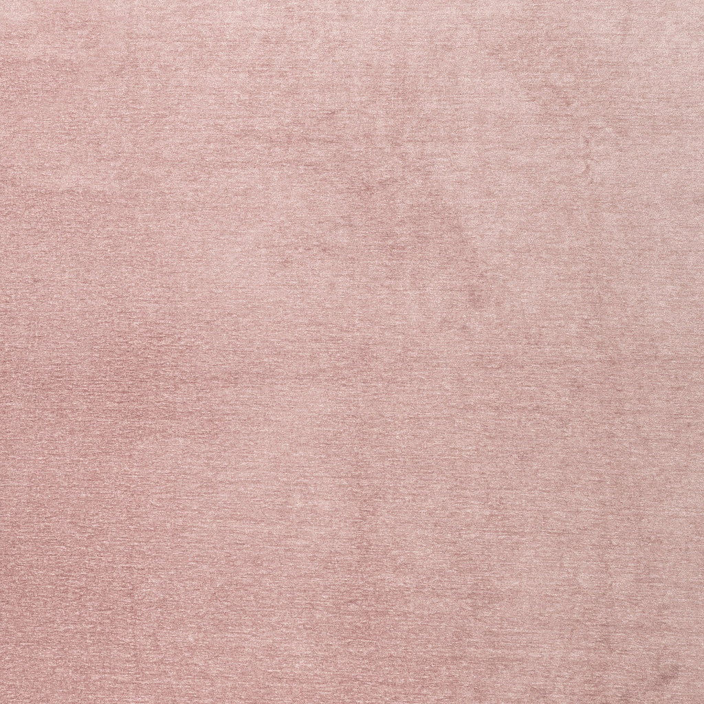 Samples and Purchasing available for Maculo - Blush Pink By Clarke And Clarke | Clarke & Clarke Purus |Solid Texture Upholstery Chenille at Designer Wallcoverings and Fabrics
