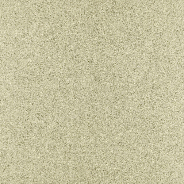 Misto - Sesame Gold By Clarke And Clarke | Clarke & Clarke Purus |Solid Texture Upholstery