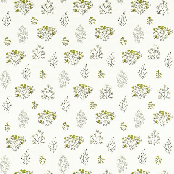 Floris - Chartreuse White By Clarke And Clarke | Clarke & Clarke Botanist |Botanical & Floral  Multipurpose Embroidery