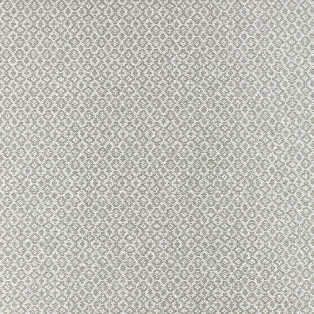 Samples and Purchasing available for Mono - Silver Grey By Clarke And Clarke | Clarke & Clarke Origins |Geometric Small Scale Upholstery  at Designer Wallcoverings and Fabrics