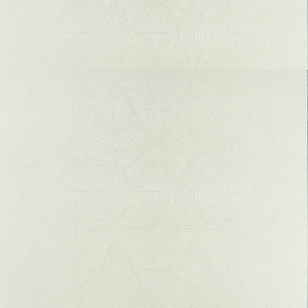 Blaize - Silver Grey By Clarke And Clarke | Geomo By Studio G For C&C |Modern Geometric Multipurpose