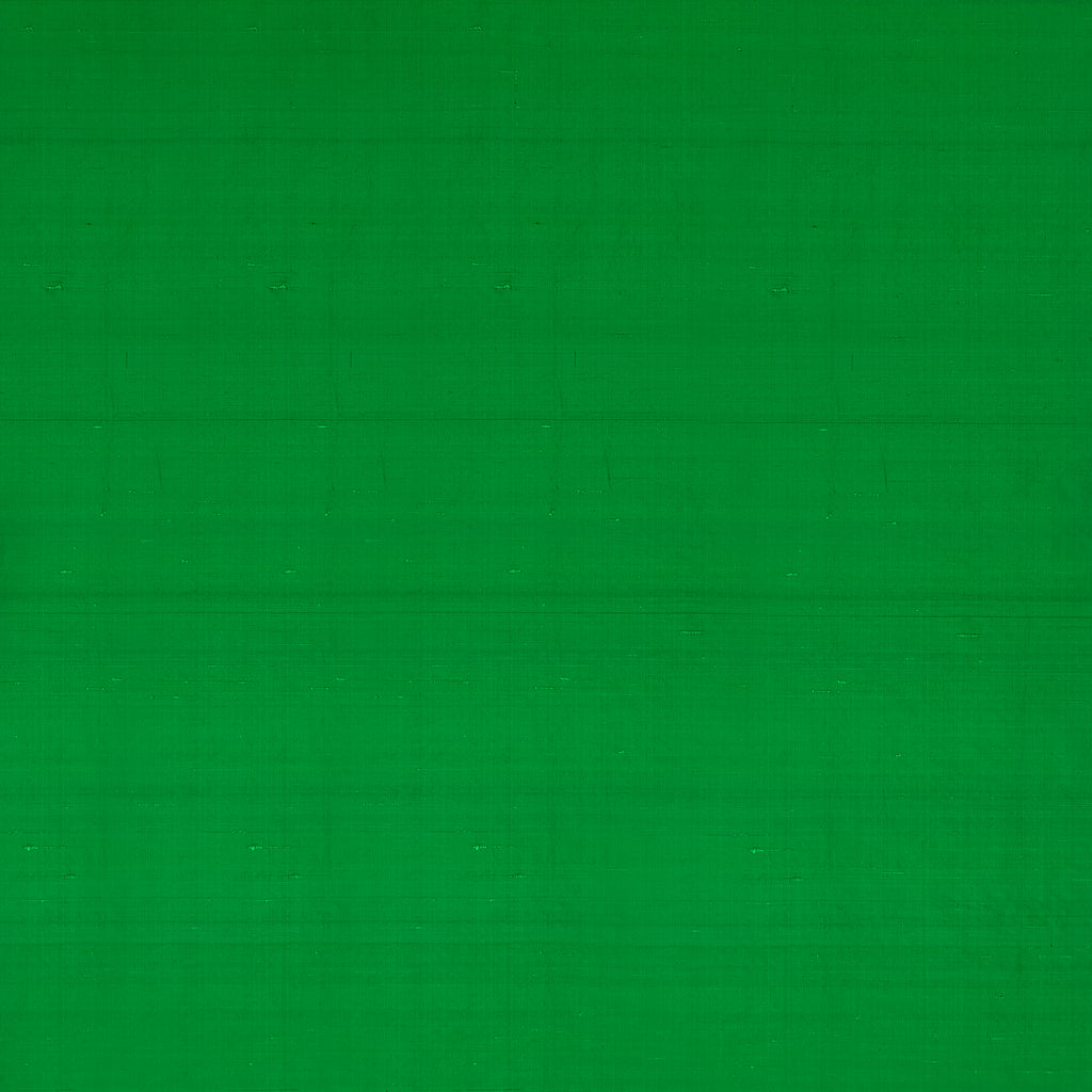 Slyph - Fern Green By Clarke And Clarke | Wilderie By Emma J Shipley For C&C |Solid  Drapery Silk